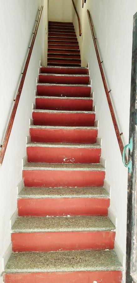 Ferret Apartment Alghero Bagian luar foto